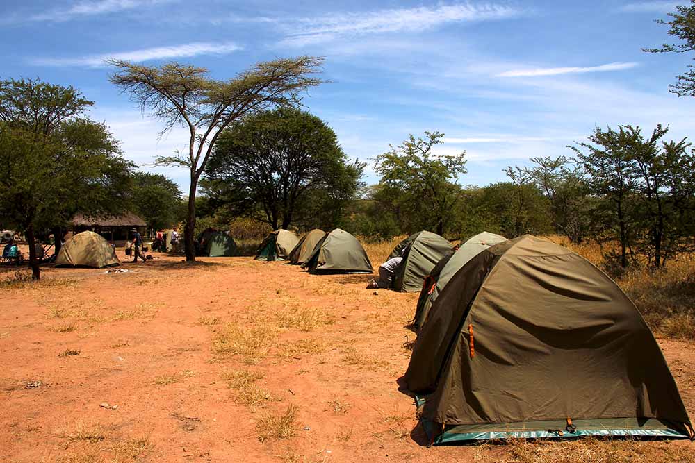 5 Days Tanzania Budget Safari