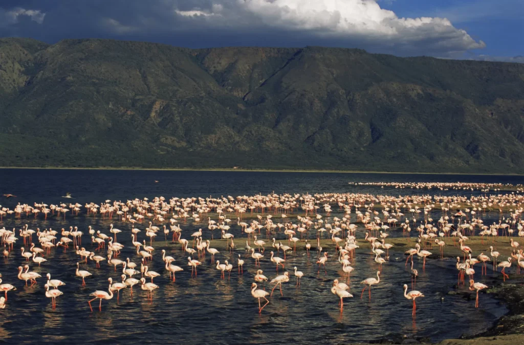 Lake Manyara National Park