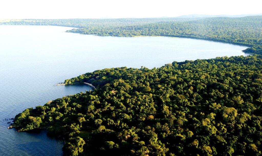 Rubondo Island National Park, Tanzania: The Ultimate Travel Guide