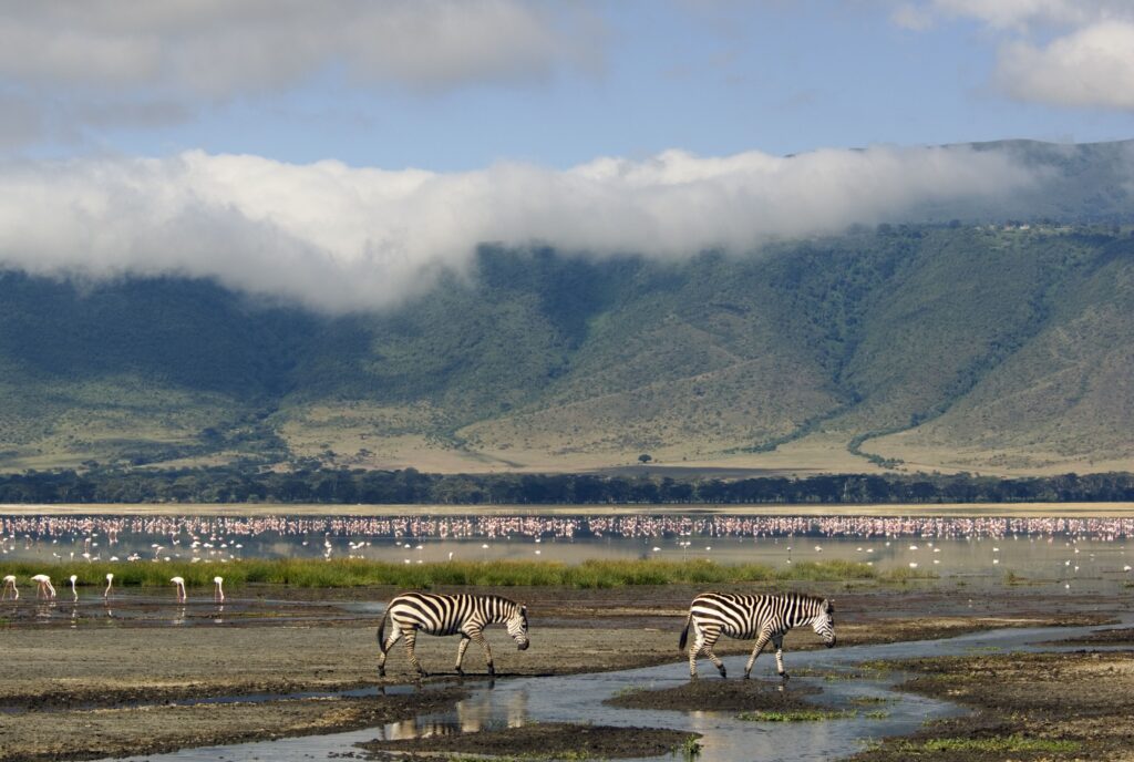 inside Ngorongoro Crater