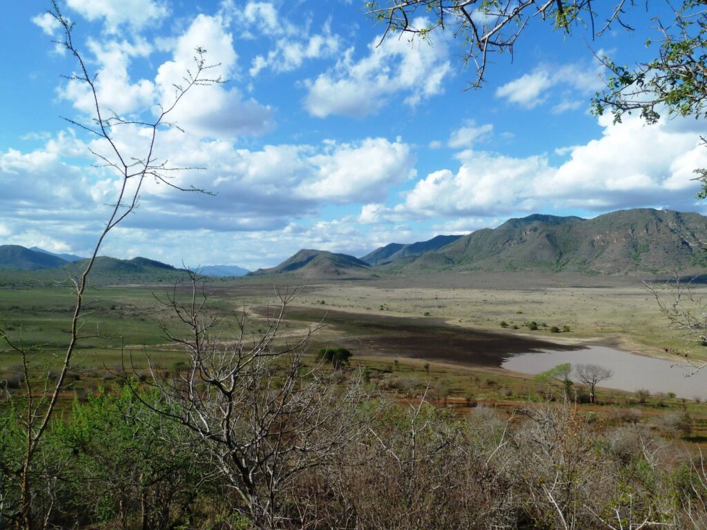 Mkomazi National Park