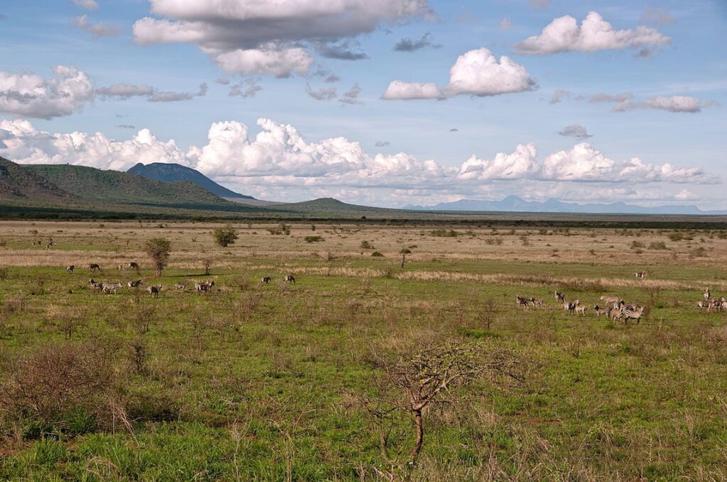 Mkomazi National Park