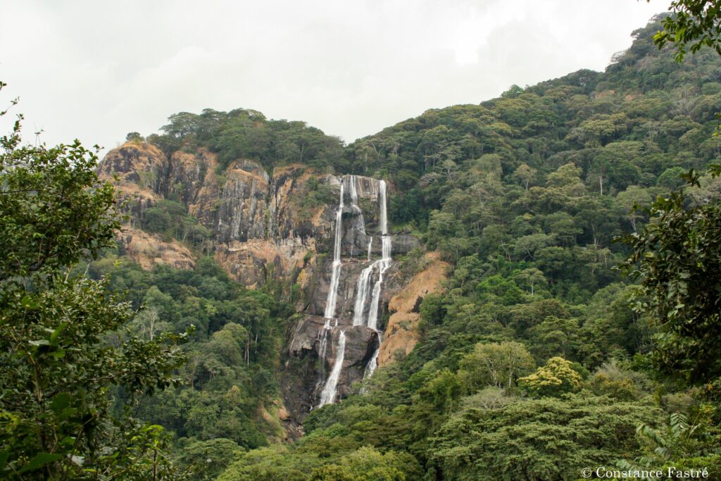 Udzungwa Mountains National Park, Tanzania: The Ultimate Travel Guide