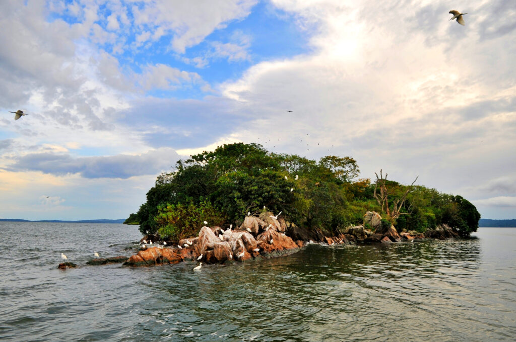 Rubondo Island National Park, Tanzania: The Ultimate Travel Guide