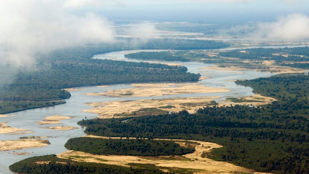 Nyerere National Park, Tanzania: The Ultimate Travel Guide
