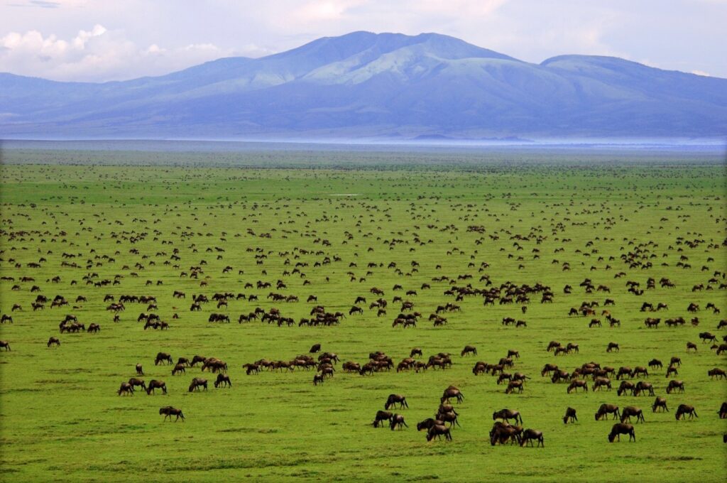 view of Ngorongoro Crater