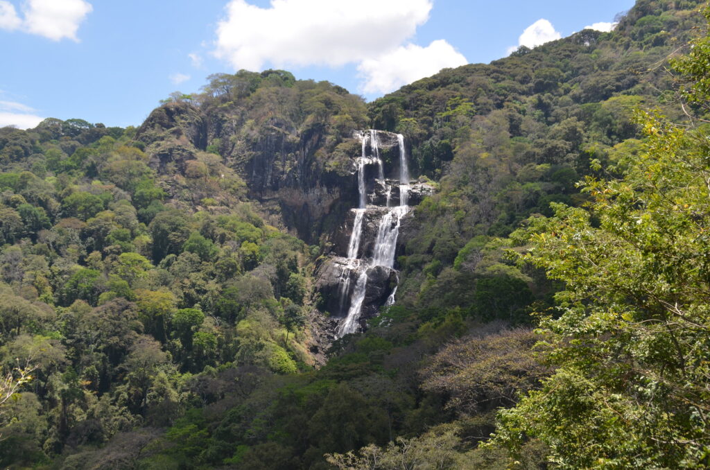 Udzungwa Mountains National Park, Tanzania: The Ultimate Travel Guide