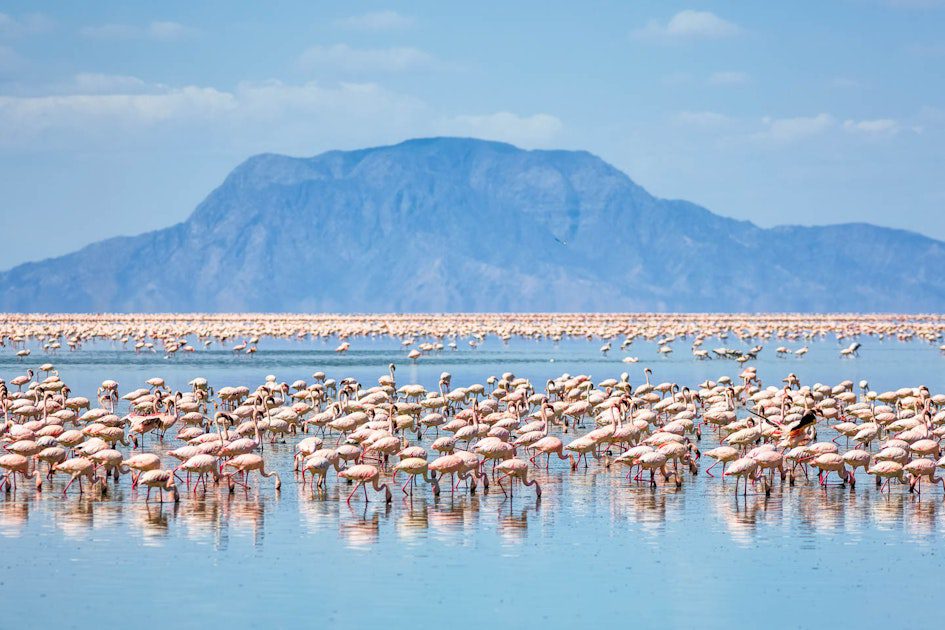 Lake Natron