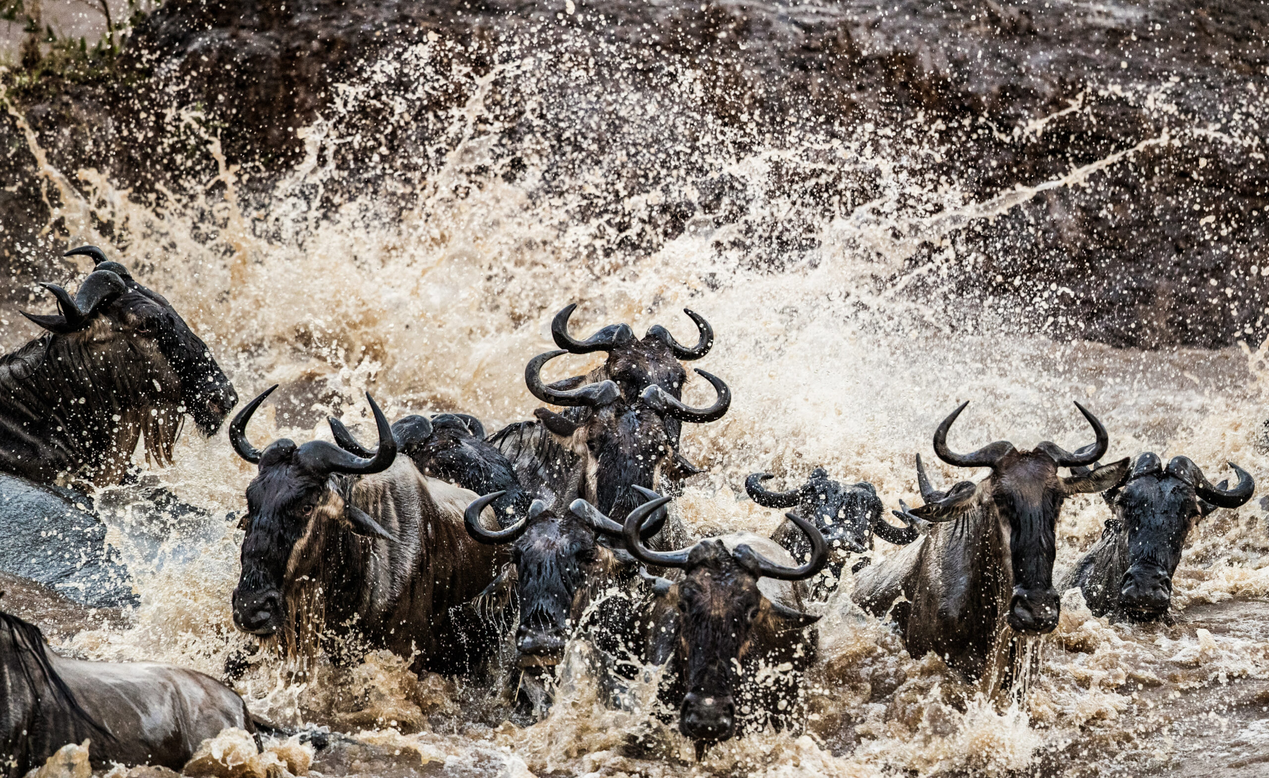 Best of Tanzania Safari