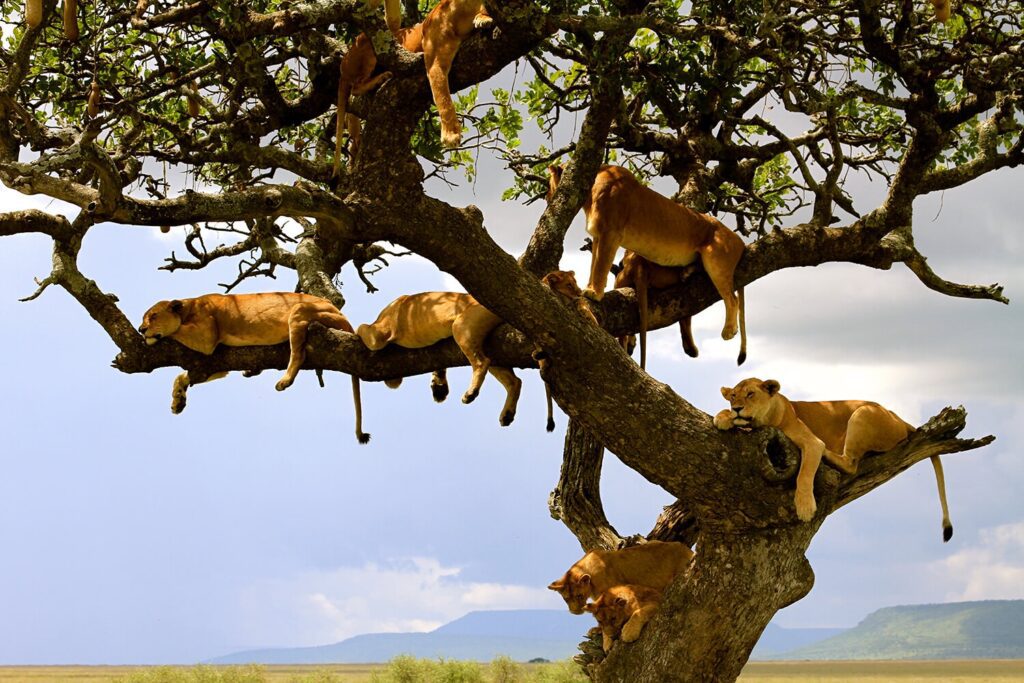 Lake Manyara