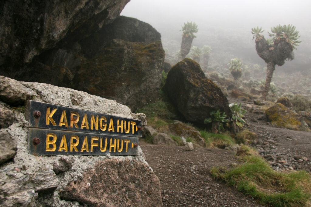 Shira Plateau panoramic view in Kilimanjaro National Park Tanzania