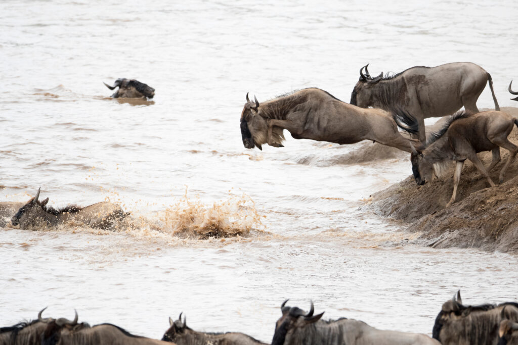 Lake Natron
