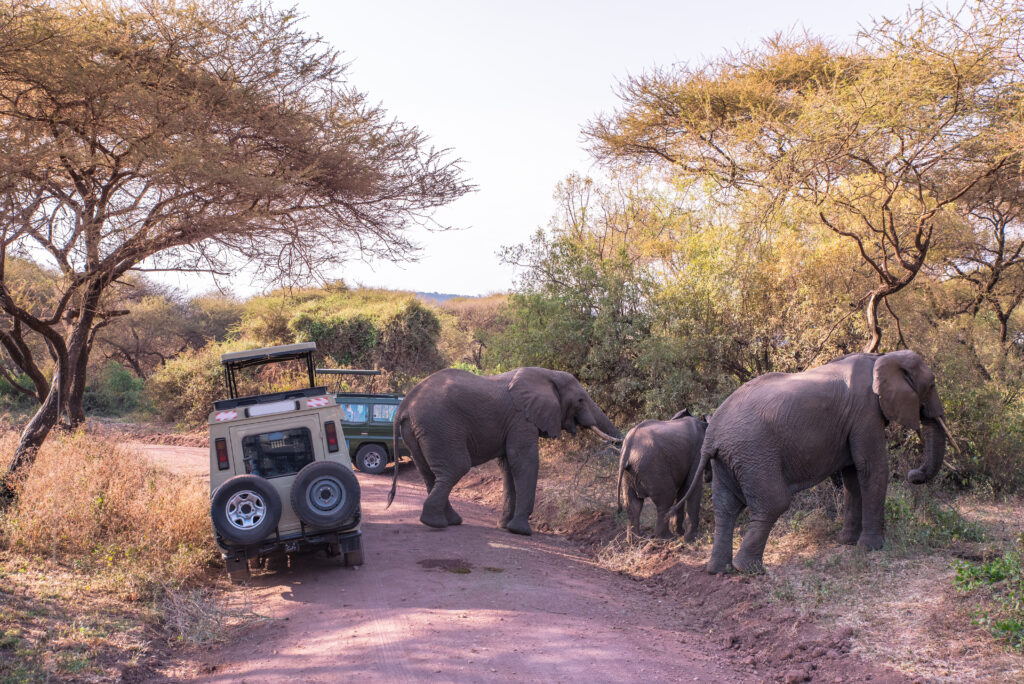 Lake Manyara National Park