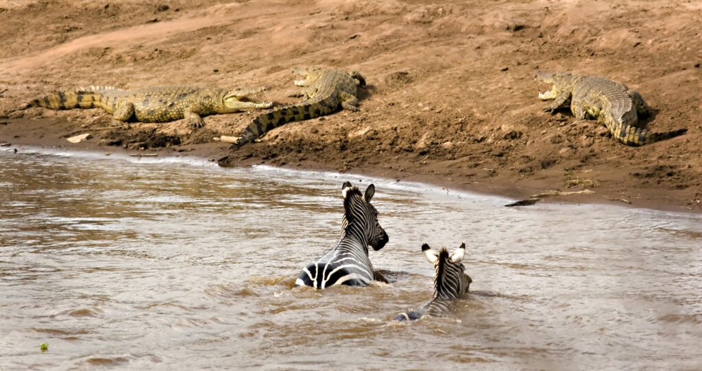 Tourist enjoying a canoe ride at Momella Lakes in Arusha National Park