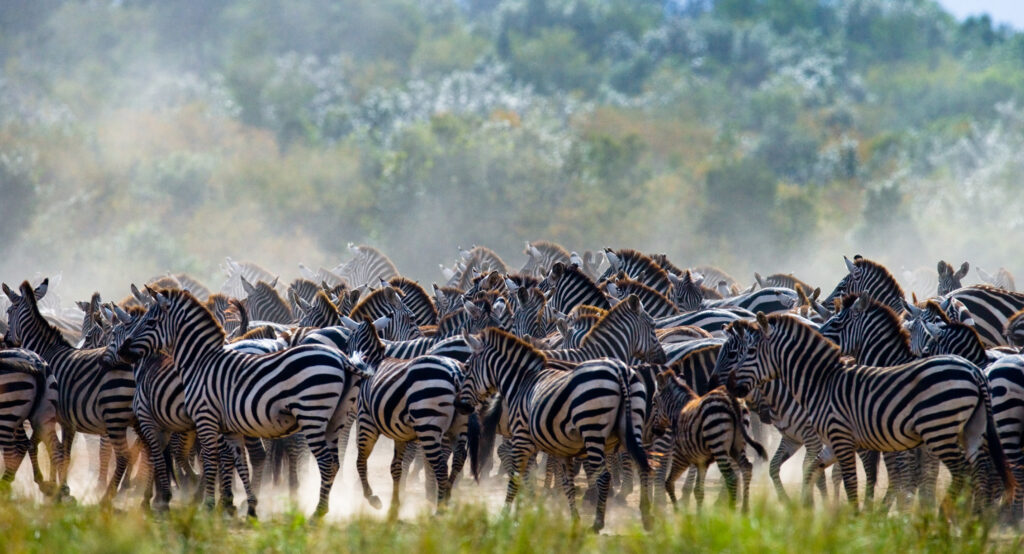 Serengeti National Park