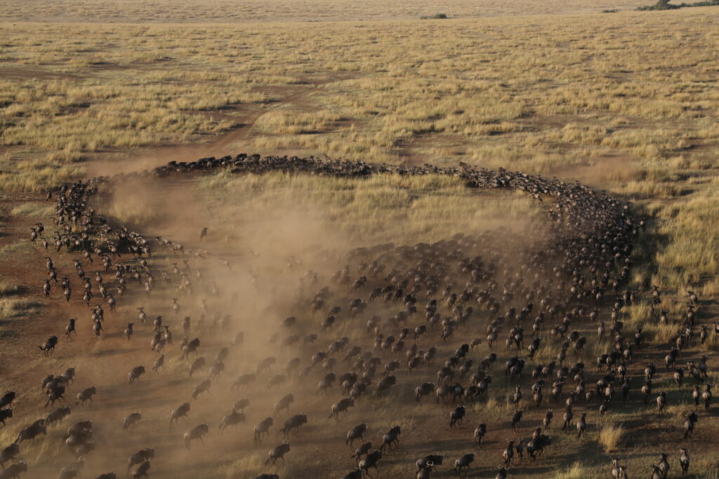 Serengeti National Park