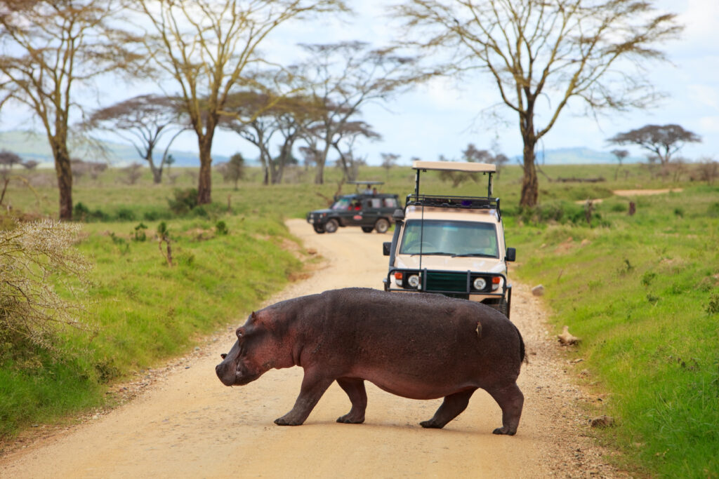 Lake Manyara National Park