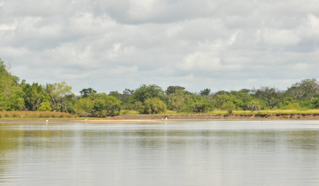 Saadani national park