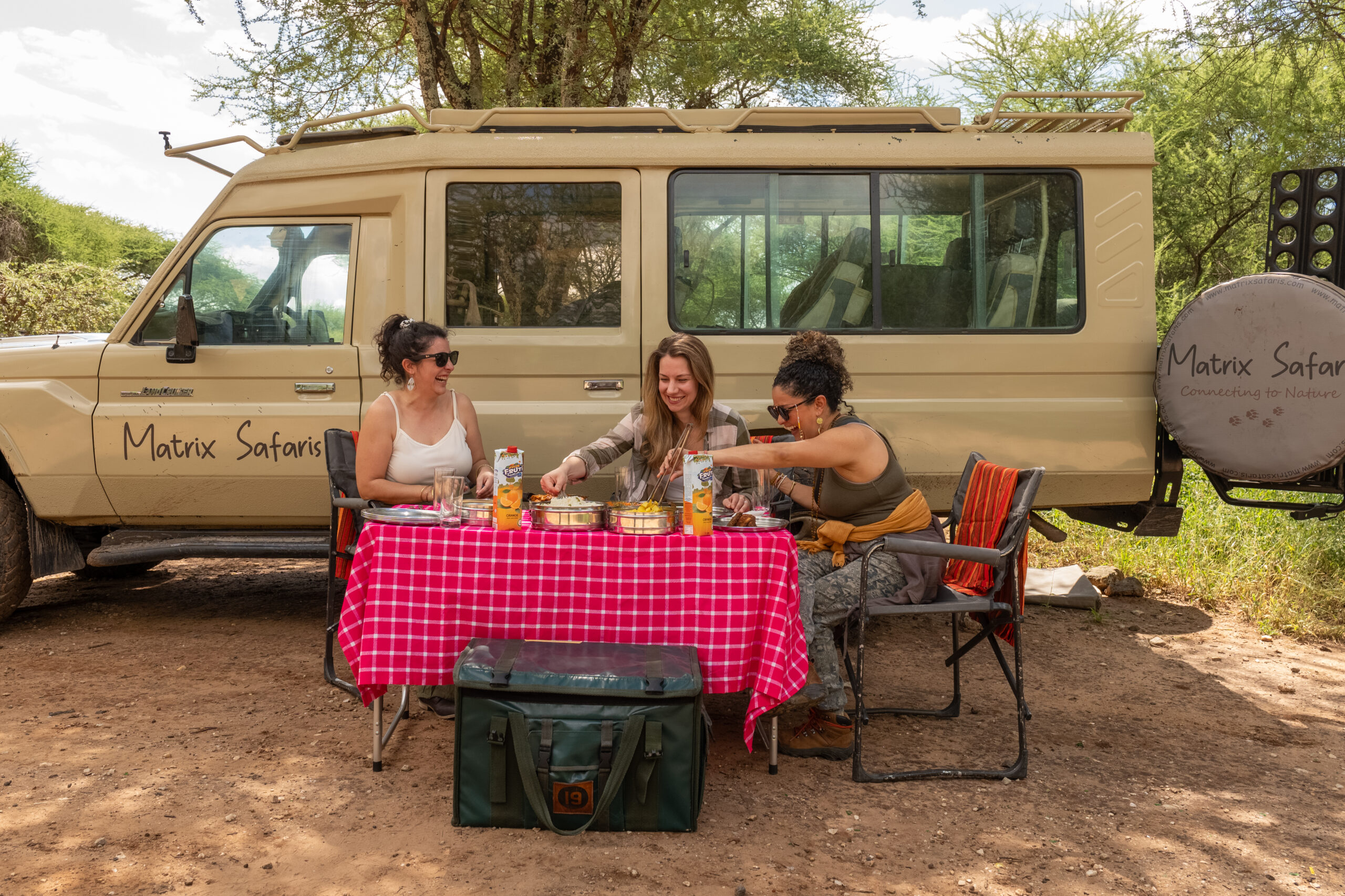 Tanzania Safari