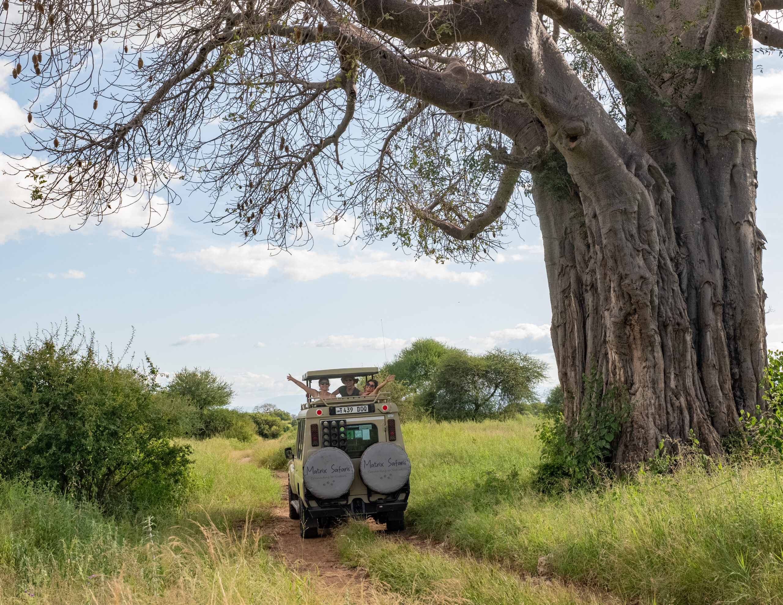 Tarangire National Park